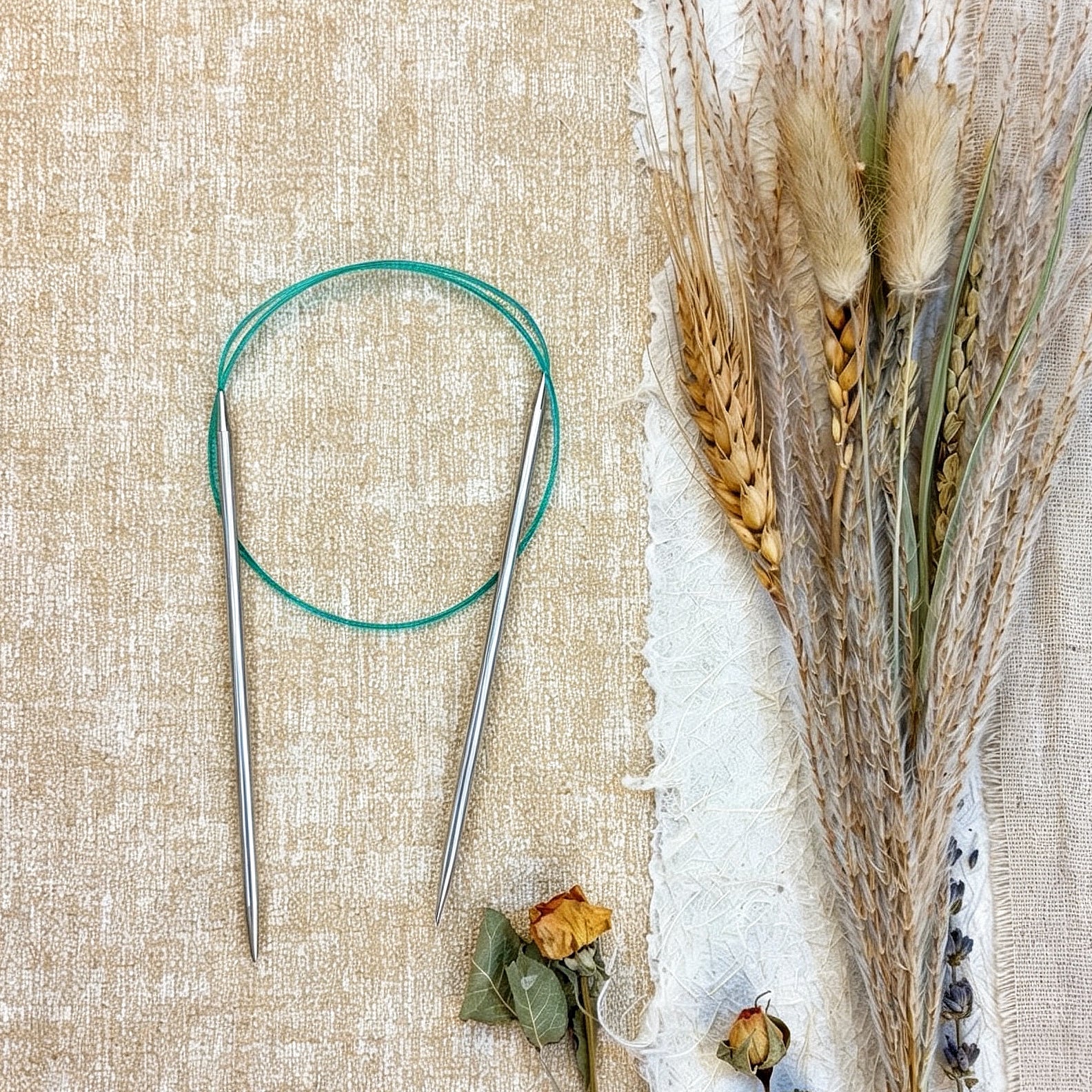 24" (60cm) Sharp Fixed Circulars
